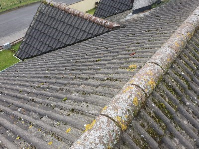 Before Roof is Cleaned