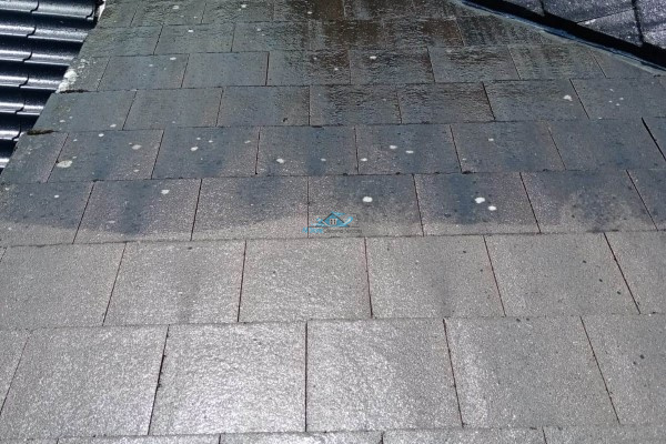 driveway-cleaning-wexford (3) Cleaned Slabs